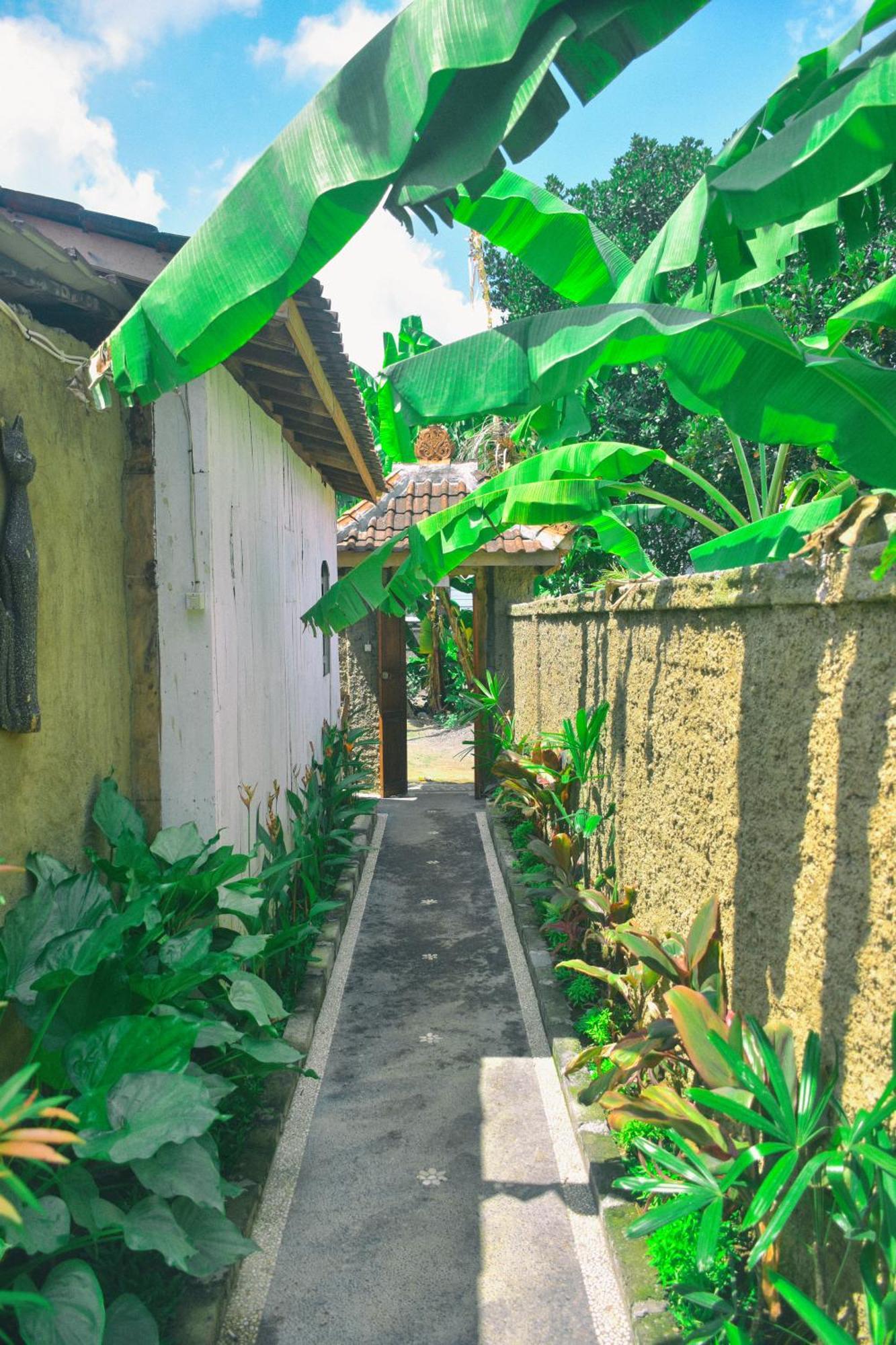 Ume Sita Villa And Homestay Ubud Eksteriør bilde